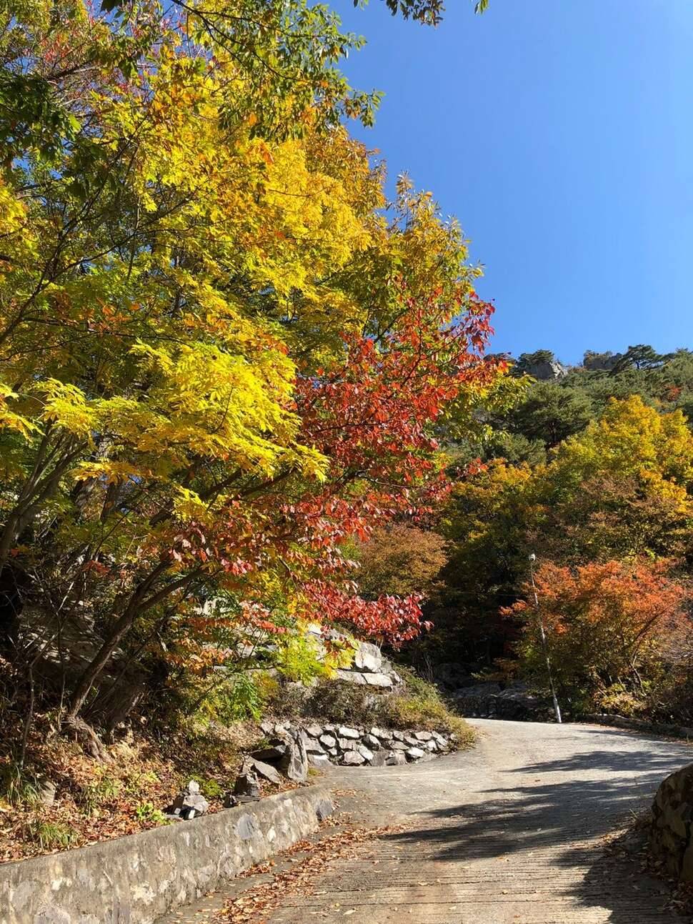 가을 산사 (커뮤니티 - 자유게시판)
