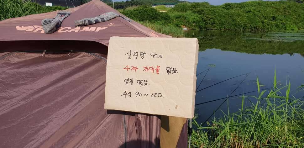 물가에서 놀다 (커뮤니티 - 자유게시판)