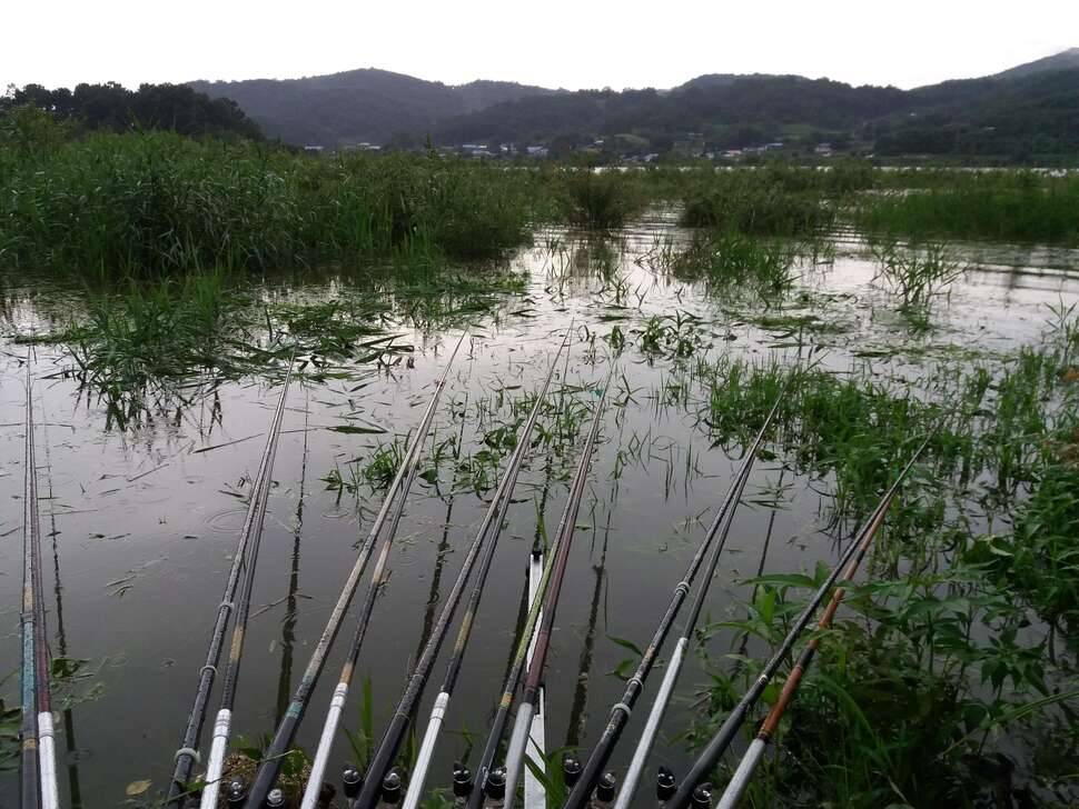 배터리로 고기잡는것 신고 (커뮤니티 - 자유게시판)