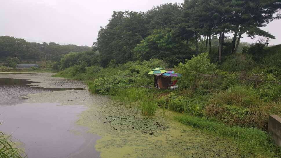 비가오면 센취해집니다 (커뮤니티 - 자유게시판)