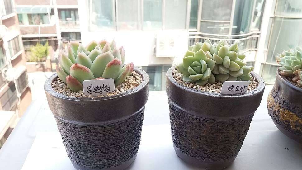 먹어도 먹어도 (커뮤니티 - 자유게시판)