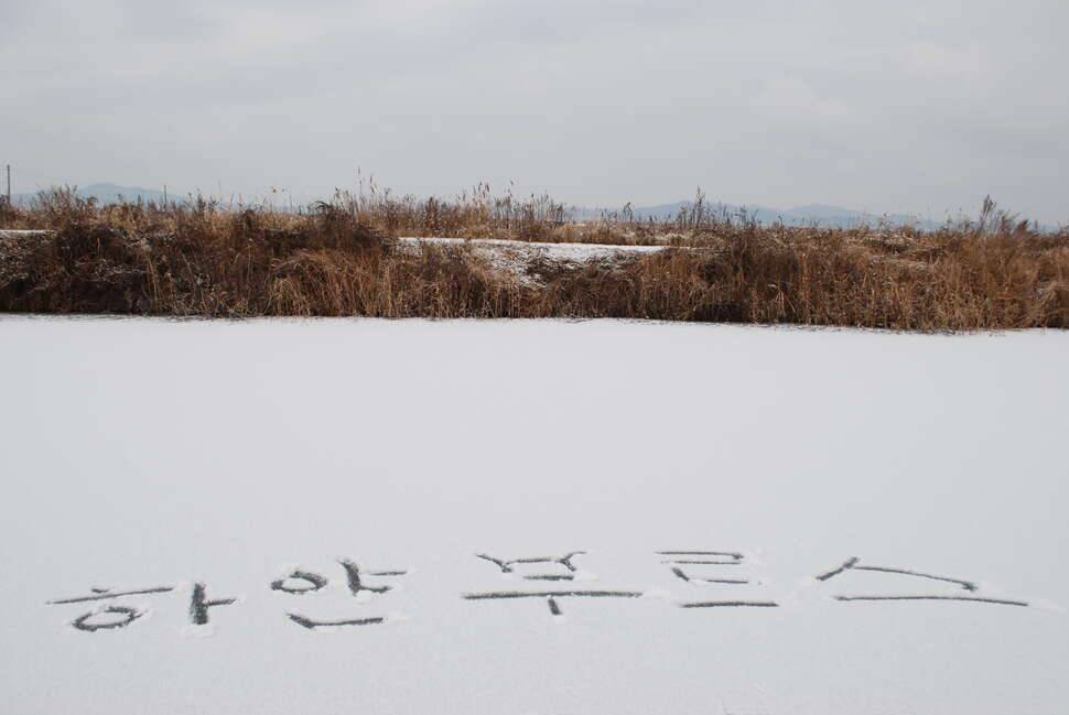 한해를 보내며 (커뮤니티 - 자유게시판)