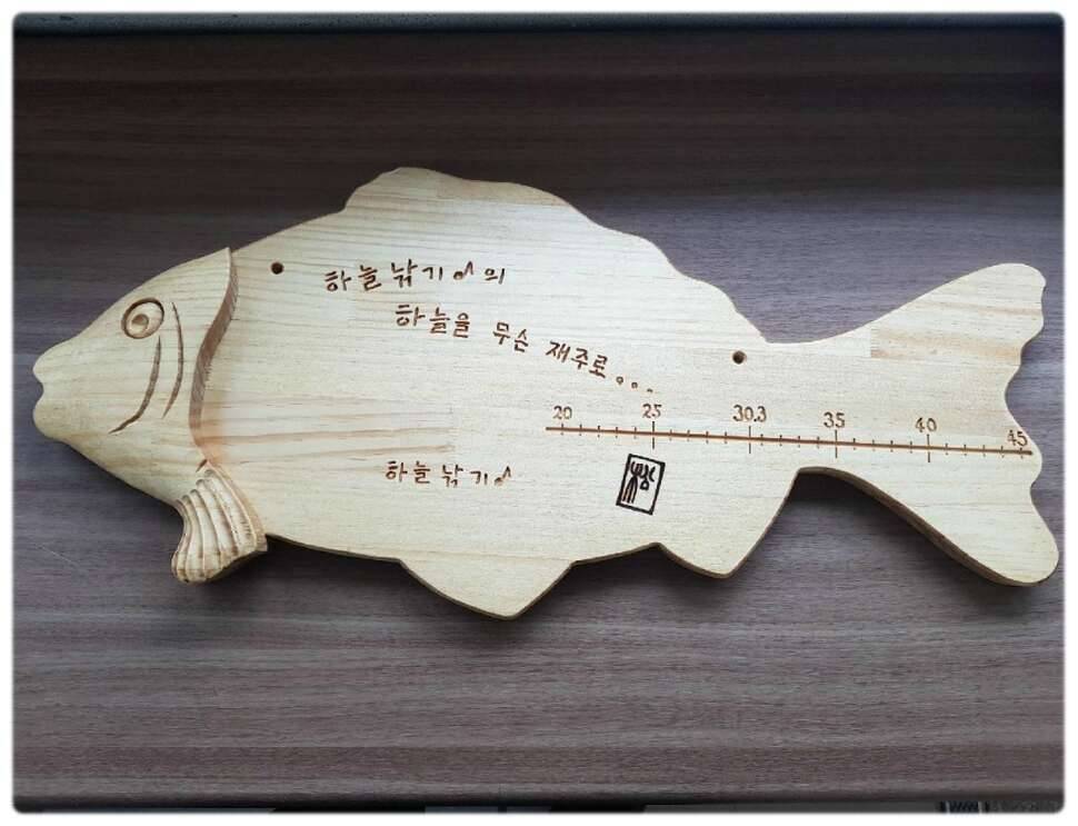 오짜붕어 감사합니다 (커뮤니티 - 자유게시판)