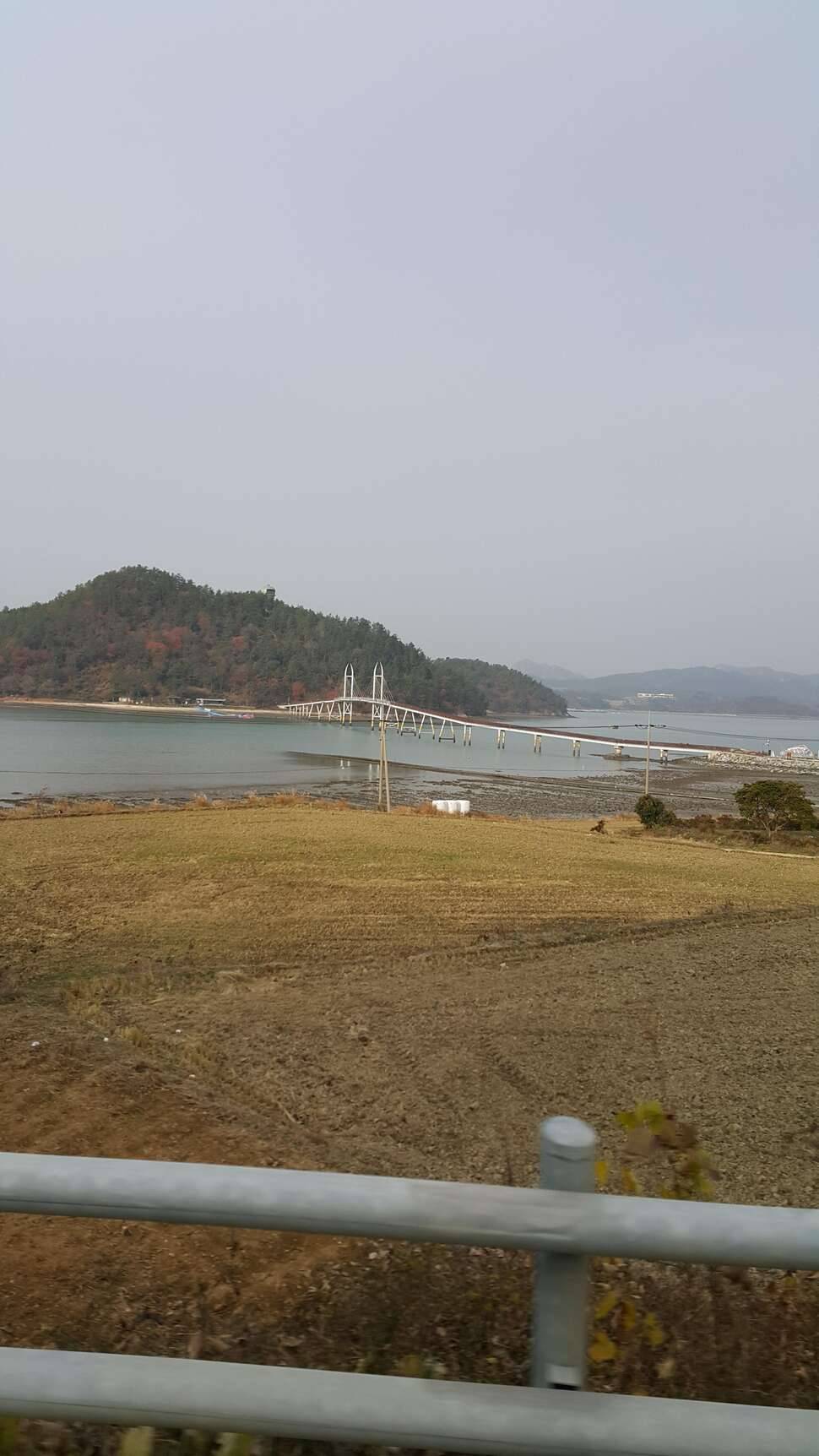 겨울바다를 여러분과 함께 하겠습니다 (커뮤니티 - 자유게시판)