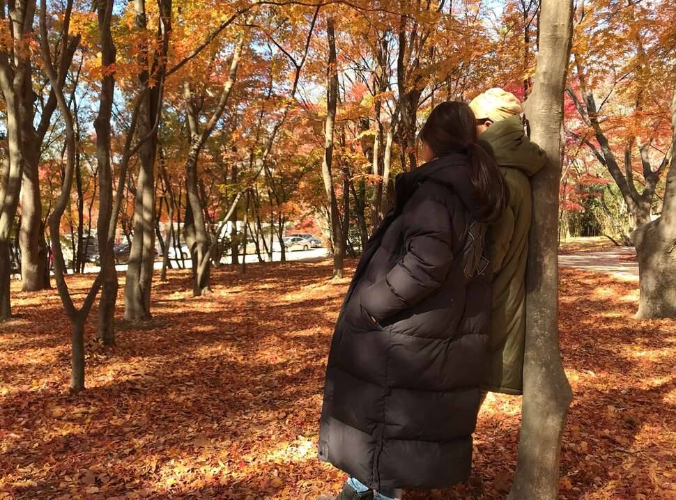 가을이 가네 (커뮤니티 - 자유게시판)