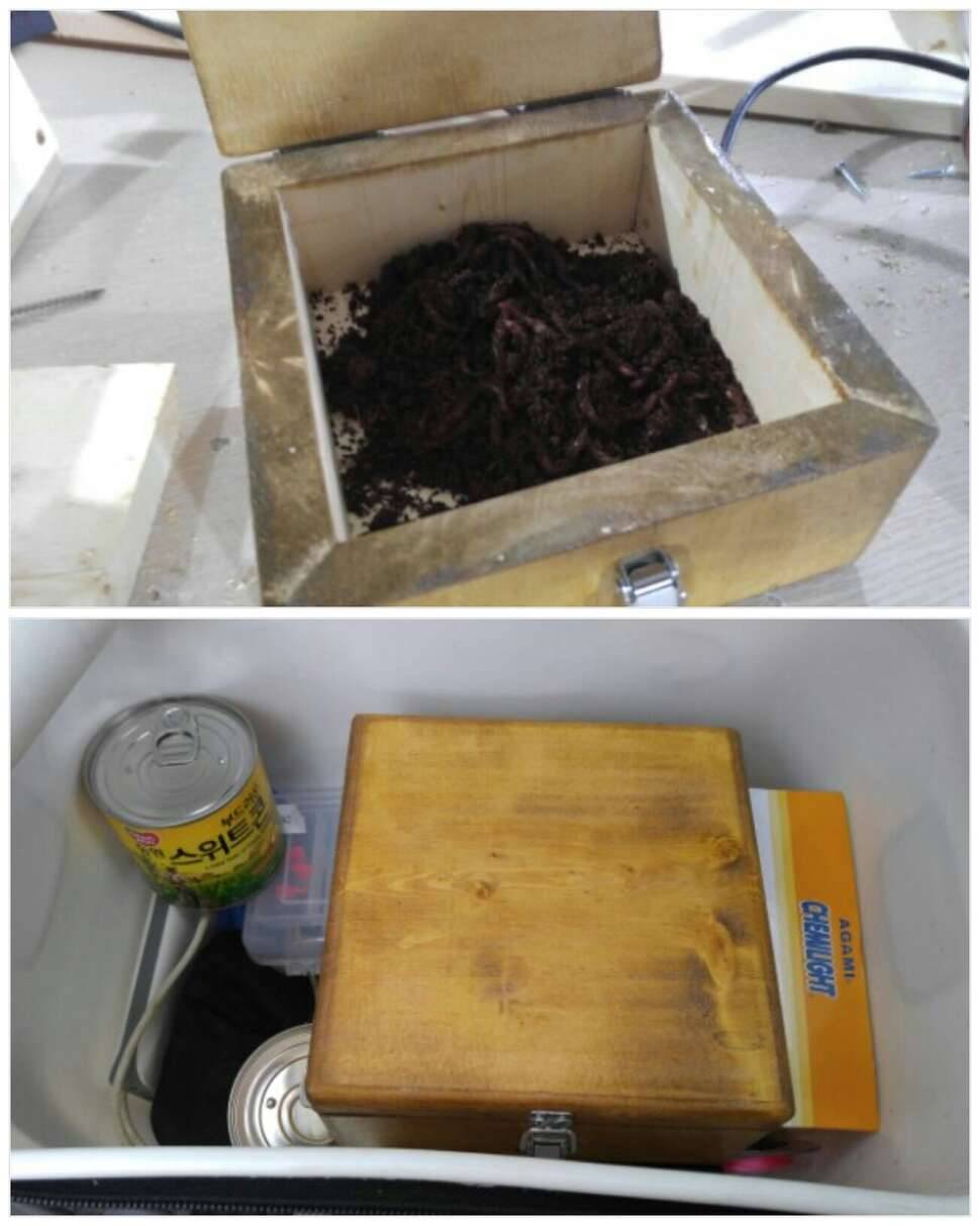 뚝딱뚝딱 쓱싹쓱싹 왱왱 (커뮤니티 - 자유게시판)