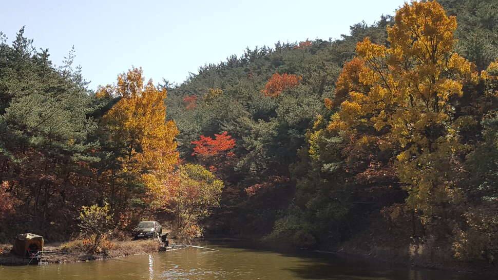 산꼴짝소류지2 (커뮤니티 - 자유게시판)