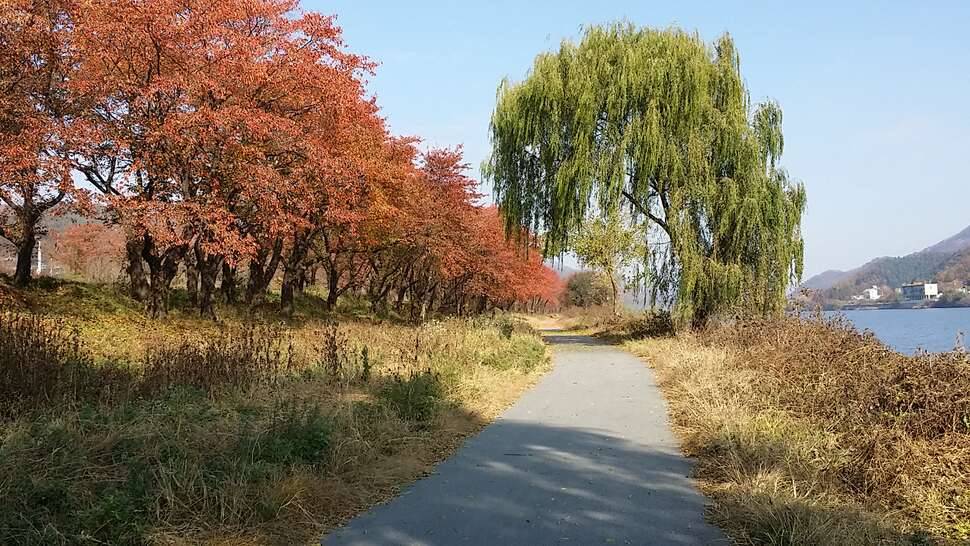 낚시차 추천좀 해주세요 (커뮤니티 - 자유게시판)