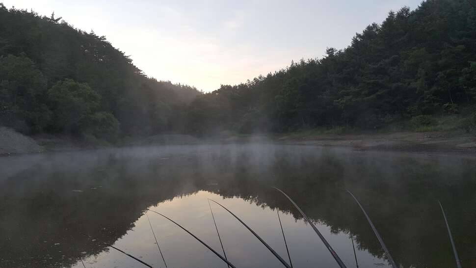 조용한 하룻밤 (커뮤니티 - 자유게시판)