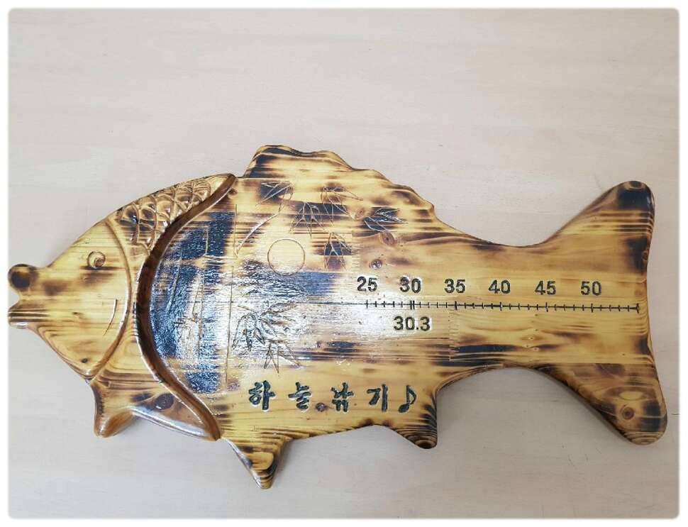 오짜붕어 감사합니다 (커뮤니티 - 자유게시판)