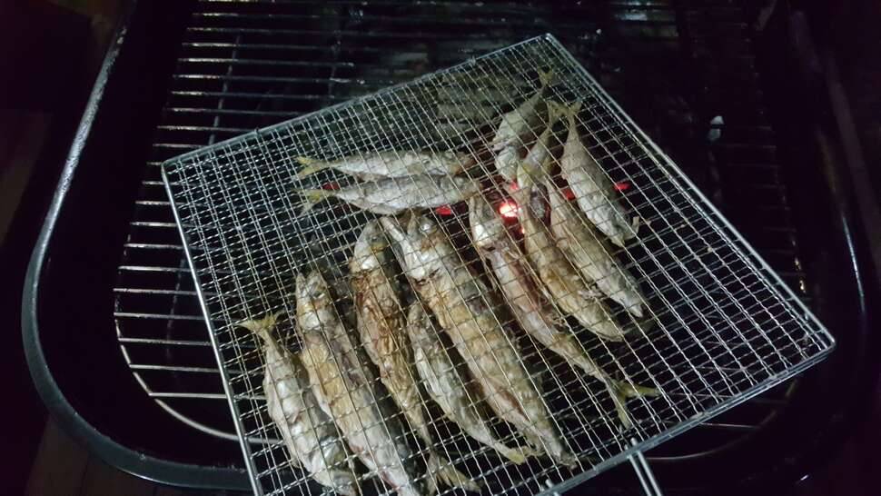 갈치낚시 (커뮤니티 - 자유게시판)