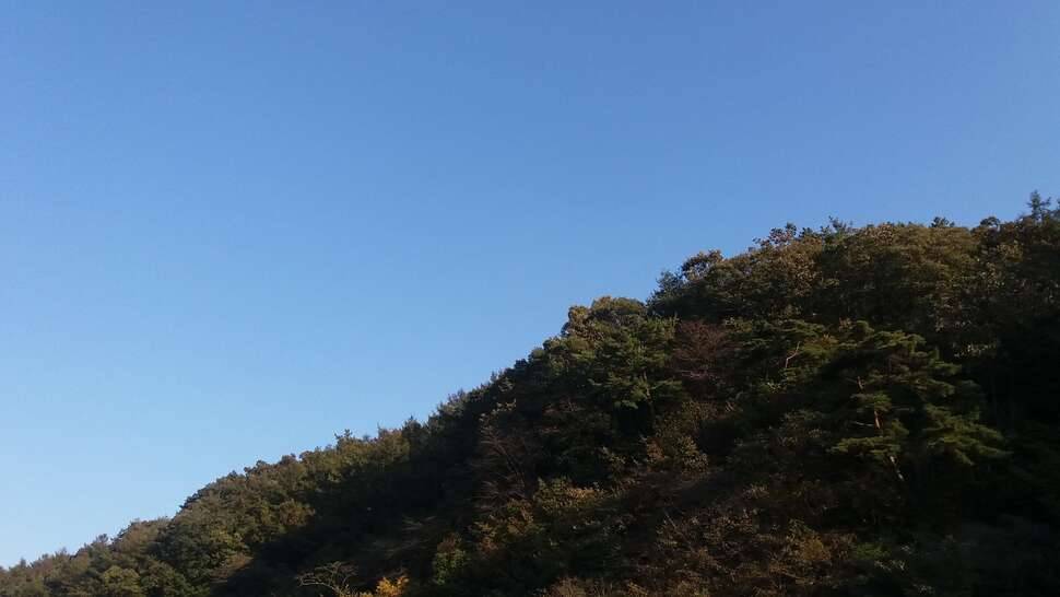 신병훈련소에 다녀왔습니다 (커뮤니티 - 자유게시판)