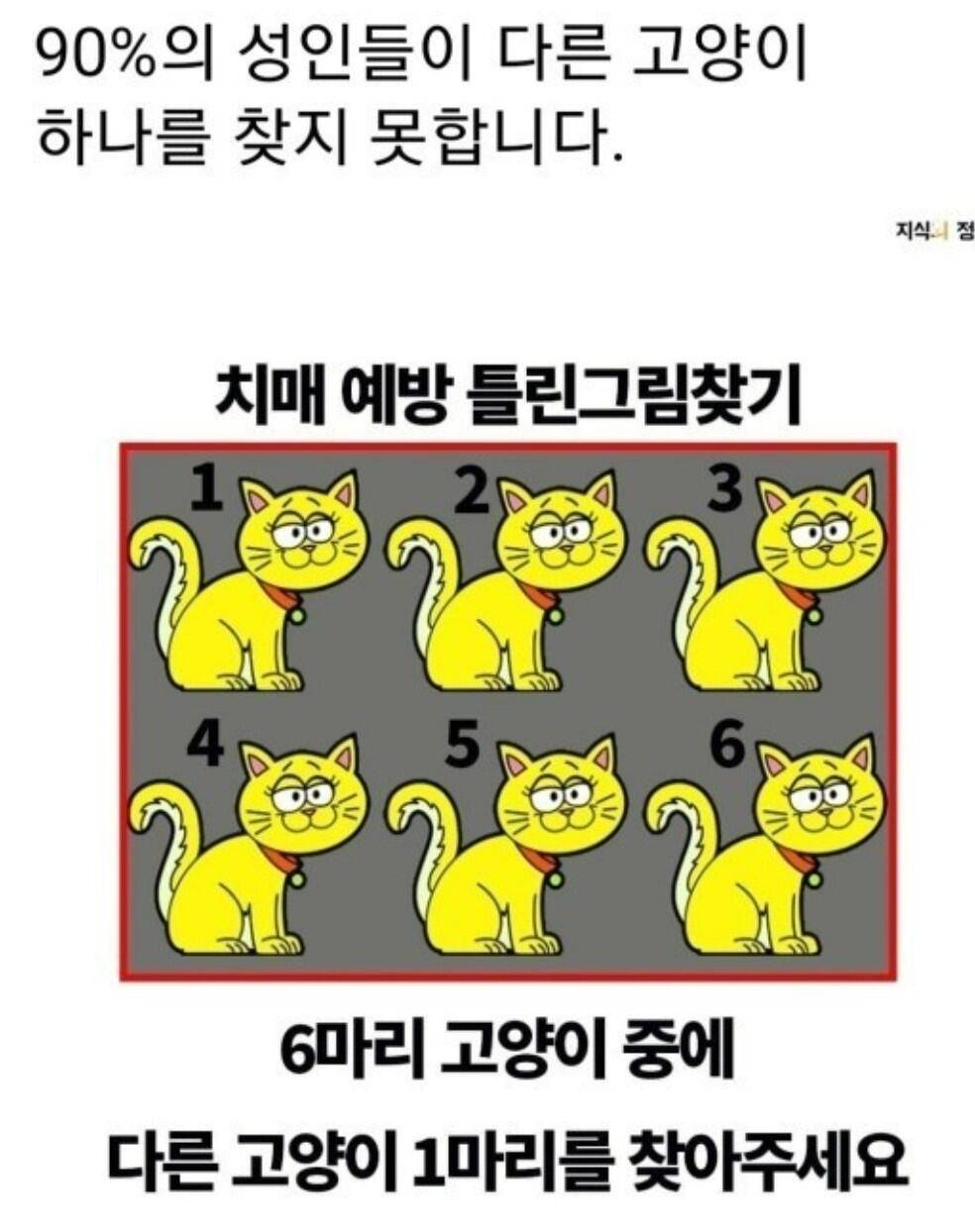 첫경험 짤모음 (커뮤니티 - 자유게시판)