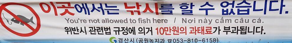 과태료 10만원 피하는법 (커뮤니티 - 자유게시판)