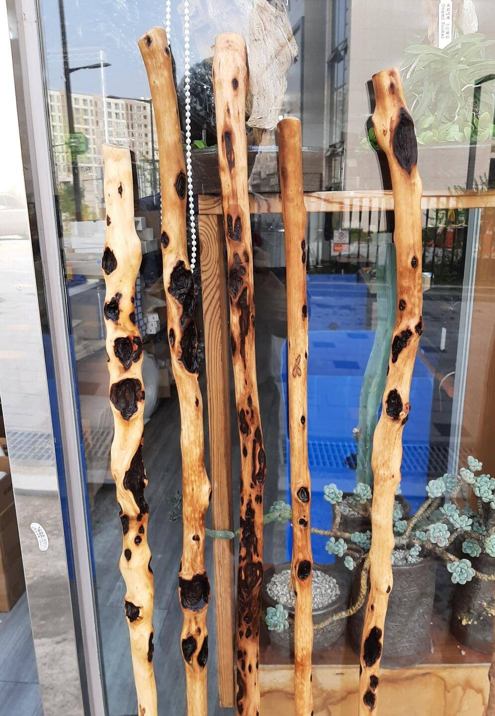 벗기고 문지르고 물 바르고 (커뮤니티 - 자유게시판)