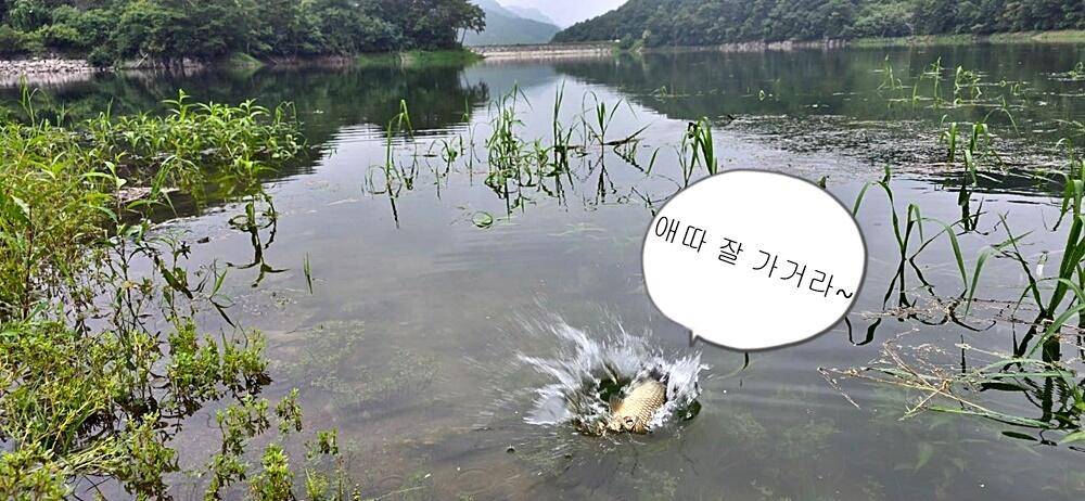 계곡지오름수위 (조황조행기 - 화보조행기)