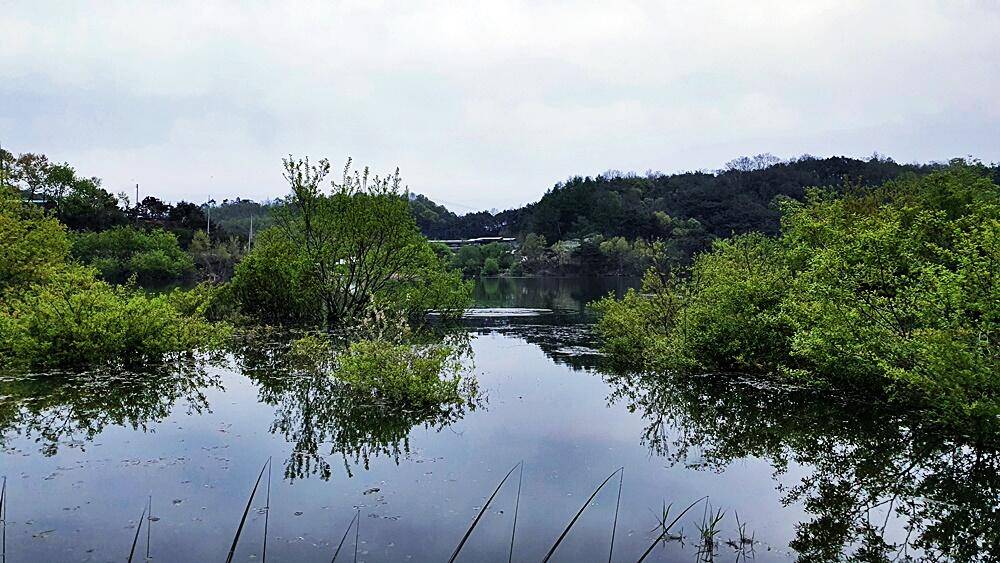 꾼의계절 경북권 (조황조행기 - 화보조행기)