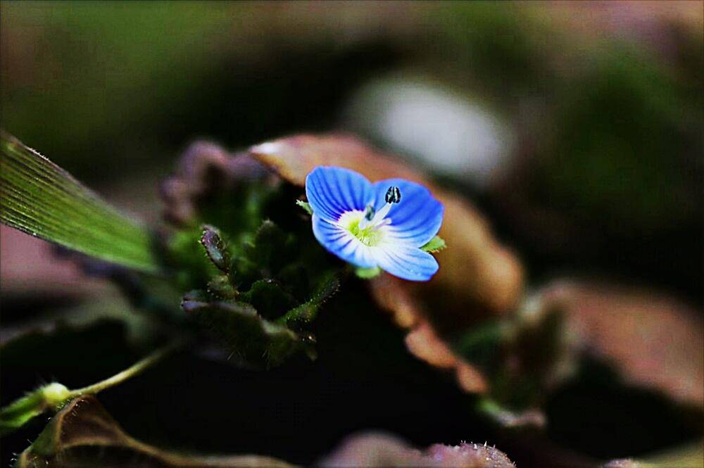 가을낚시 (조황조행기 - 화보조행기)