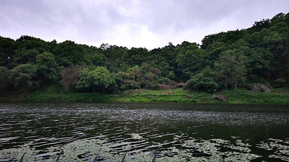 꾼의계절 (조황조행기 - 화보조행기)