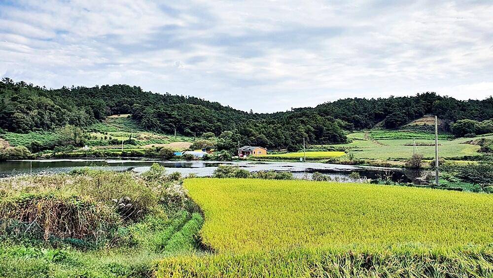 가을낚시 (조황조행기 - 화보조행기)