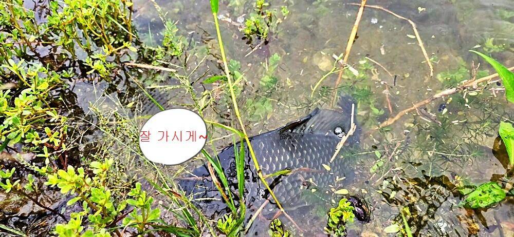 계곡지오름수위 (조황조행기 - 화보조행기)