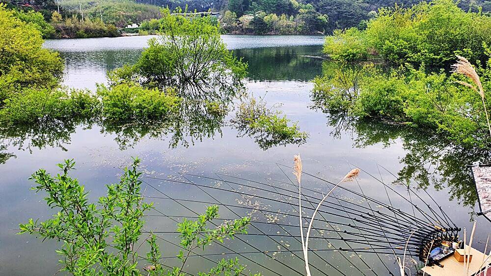 꾼의계절 경북권 (조황조행기 - 화보조행기)