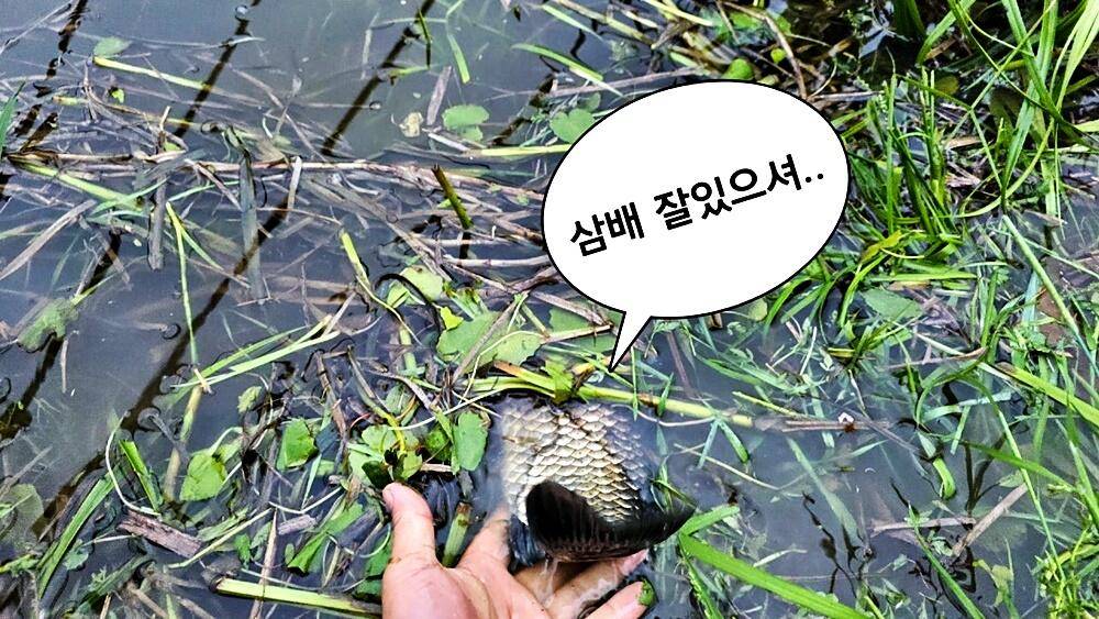 꾼의계절 (조황조행기 - 화보조행기)
