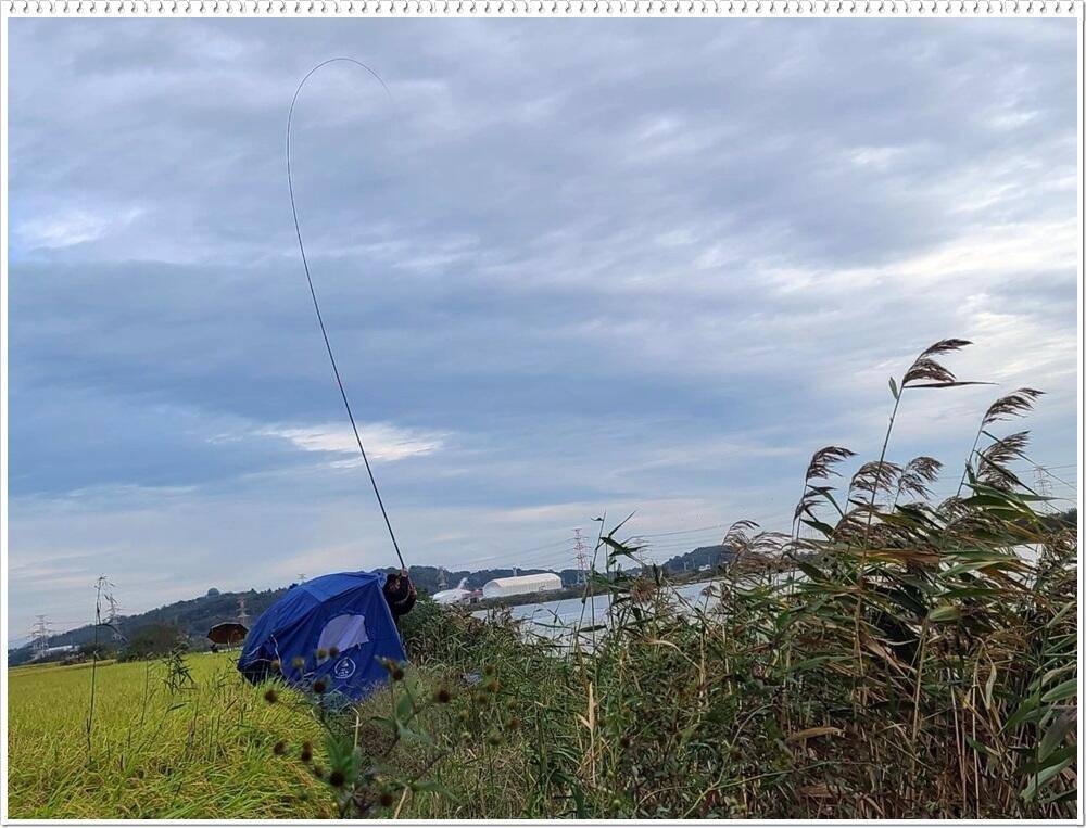 비바람과 강풍에 시달리던밤 (조황조행기 - 화보조행기)