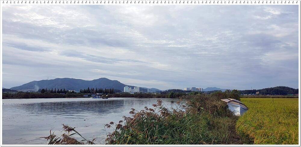 비바람과 강풍에 시달리던밤 (조황조행기 - 화보조행기)