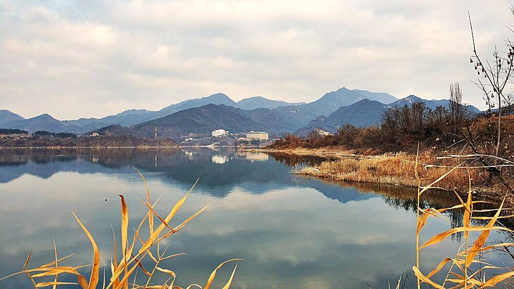 잔인한겨울 (조황조행기 - 화보조행기)