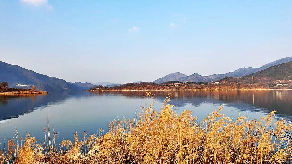 잔인한겨울 (조황조행기 - 화보조행기)