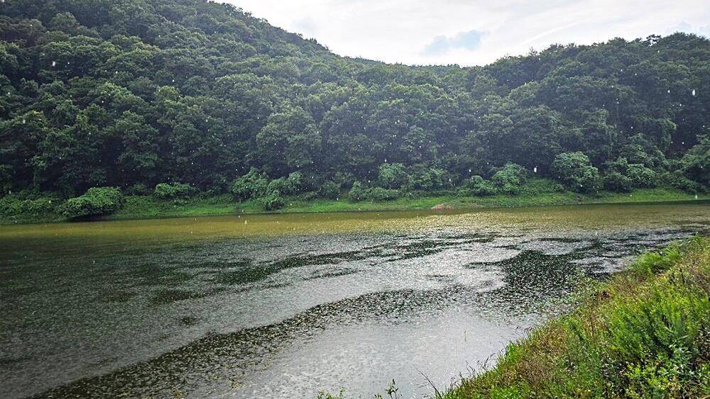 잔인한계절계곡지 (조황조행기 - 화보조행기)