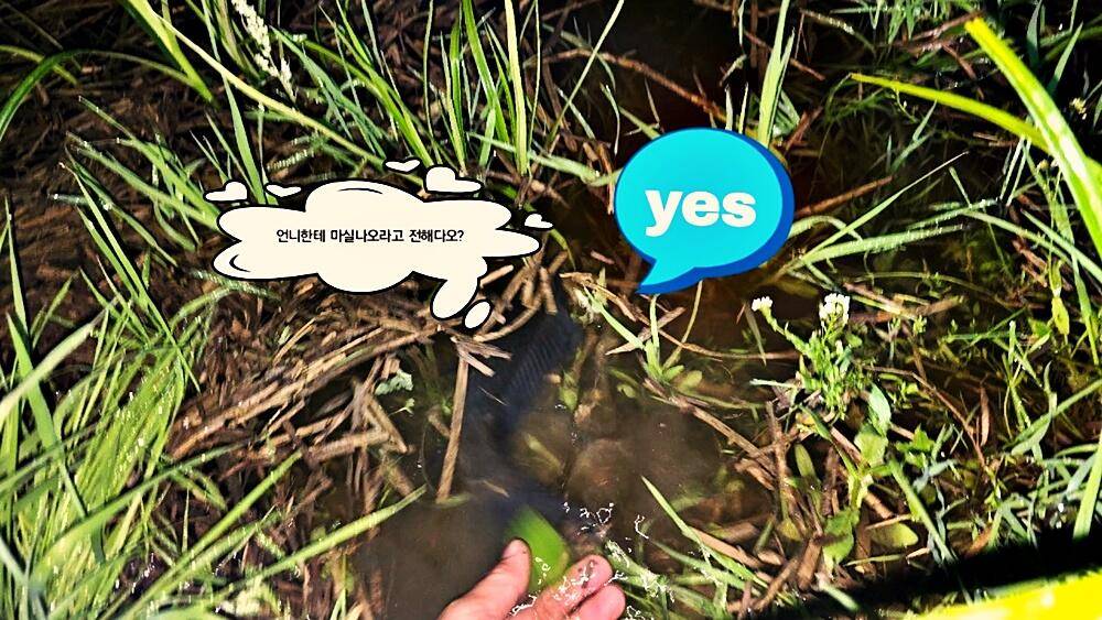 꾼의계절 (조황조행기 - 화보조행기)