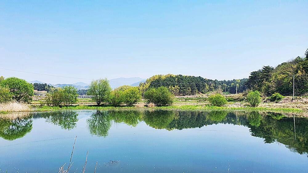 꾼의계절 경북권 (조황조행기 - 화보조행기)