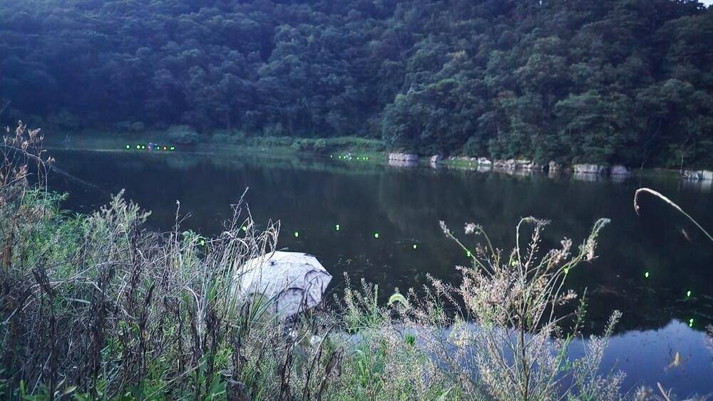 잔인한계절계곡지 (조황조행기 - 화보조행기)