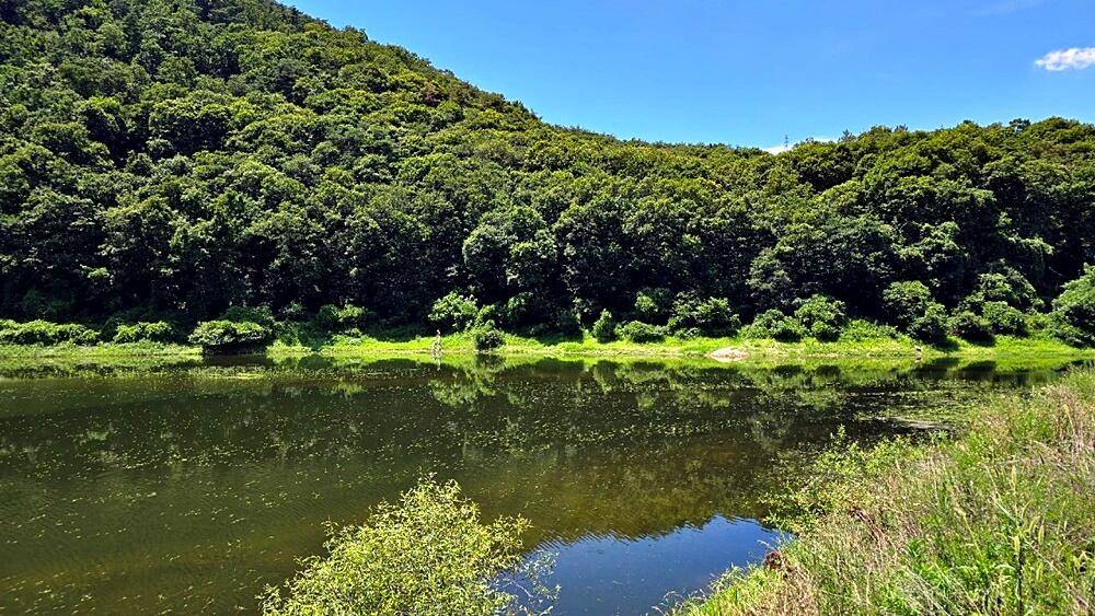 잔인한계절계곡지 (조황조행기 - 화보조행기)