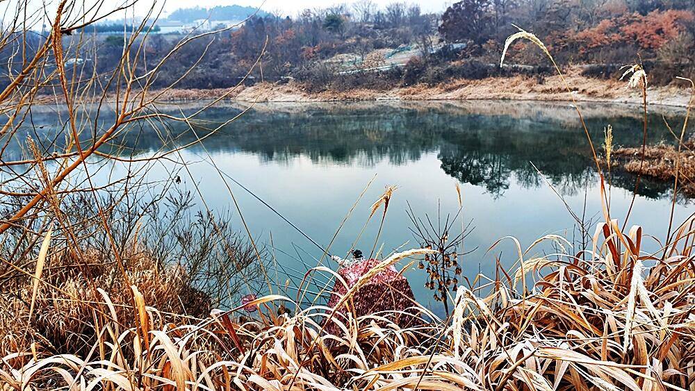 잔인한겨울 (조황조행기 - 화보조행기)
