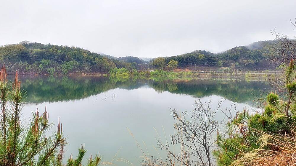 꾼의계절경북권 (조황조행기 - 화보조행기)