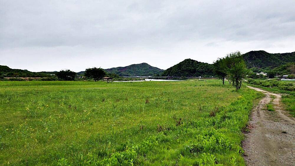 꾼의계절 (조황조행기 - 화보조행기)