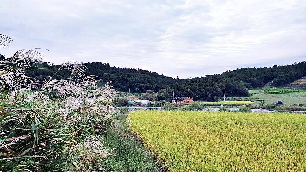 가을낚시 (조황조행기 - 화보조행기)