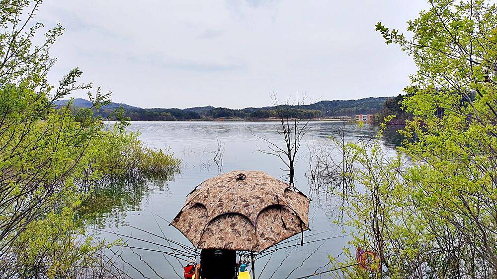 꾼의계절경북권 (조황조행기 - 화보조행기)