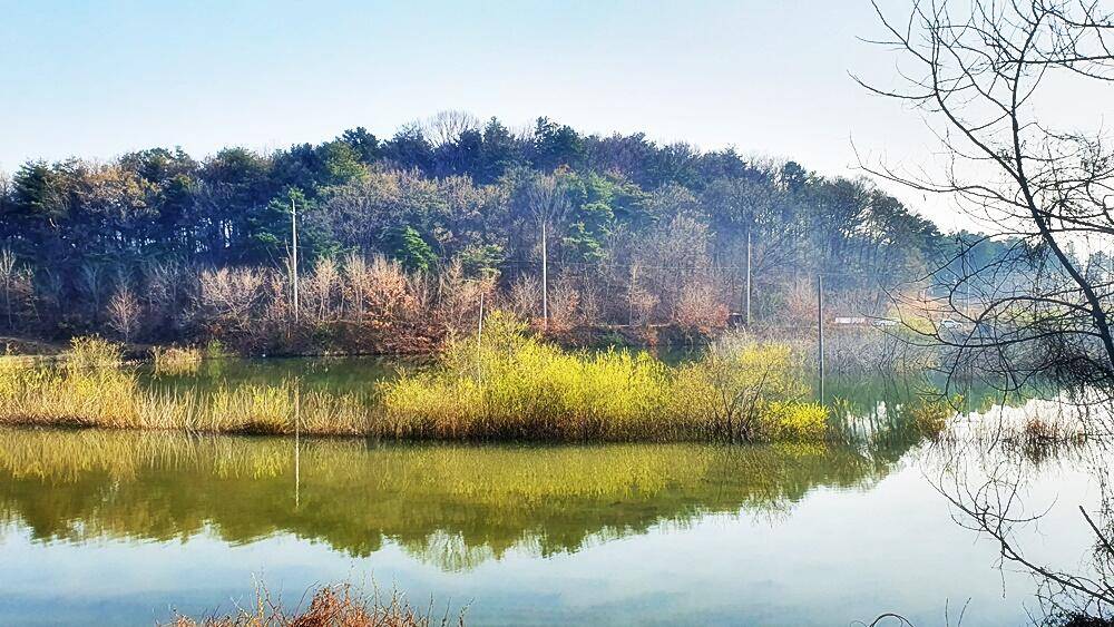 꾼의계절경북권 (조황조행기 - 화보조행기)