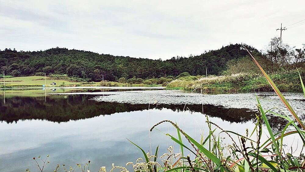 가을낚시 (조황조행기 - 화보조행기)
