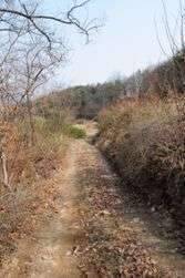 그날이 올 때까지 (조황조행기 - 화보조행기)