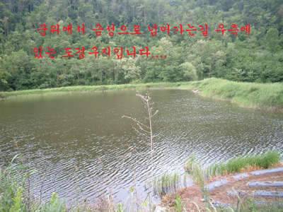 과거를 묻지마세요 (조황조행기 - 화보조행기)
