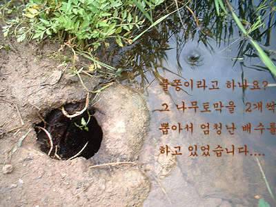 과거를 묻지마세요 (조황조행기 - 화보조행기)
