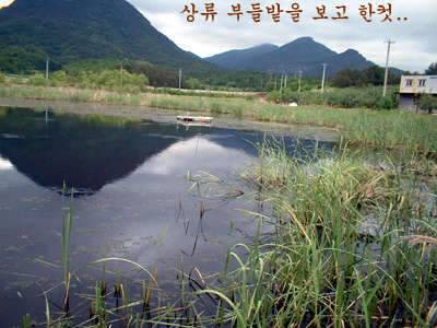 과거를 묻지마세요 (조황조행기 - 화보조행기)