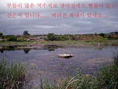 과거를 묻지마세요 (조황조행기 - 화보조행기)