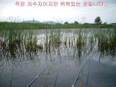 과거를 묻지마세요 (조황조행기 - 화보조행기)