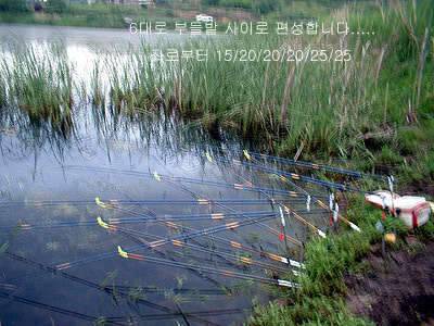 과거를 묻지마세요 (조황조행기 - 화보조행기)